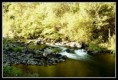 /album/larga-expo/rio-1-5967446011-l-jpg/